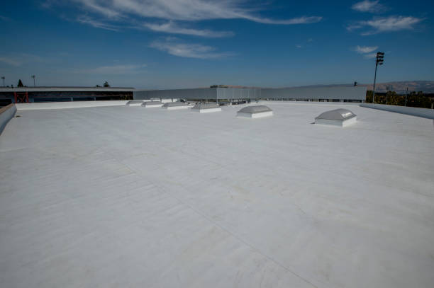 Best Skylight Installation and Repair  in Martindale, TX
