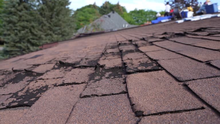 Best Slate Roofing  in Martindale, TX