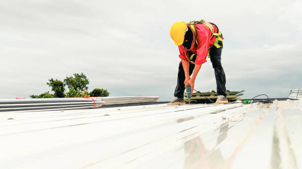 Best Steel Roofing  in Martindale, TX
