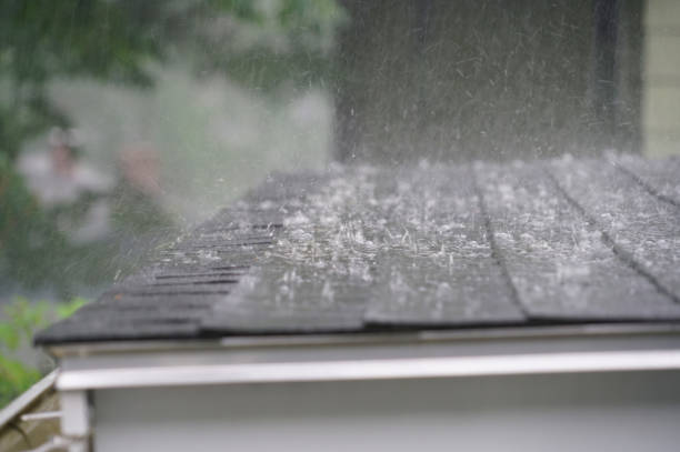 Best Roof Coating and Sealing  in Martindale, TX